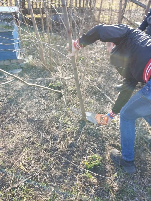 WhatsApp Image 2019-02-19 at 09.32.31