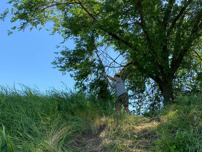 a4f87698-db73-4c88-98a7-0435aa121682