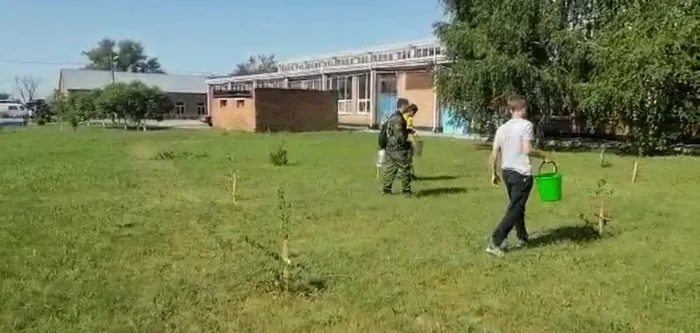 82c64238-4474-41a6-84c5-df3ead7a4f3f