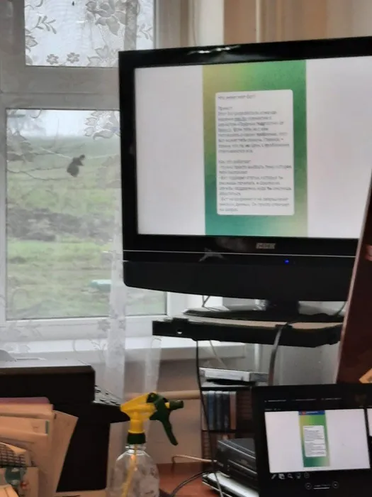 ff74c5a2-5d41-4e00-853b-bbe49e9c44e6