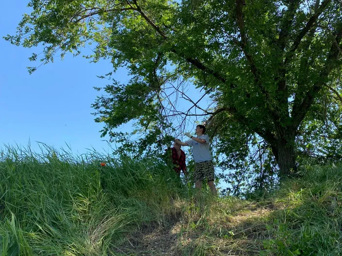 a76fe2ad-8156-4b16-a749-2627f2874b49