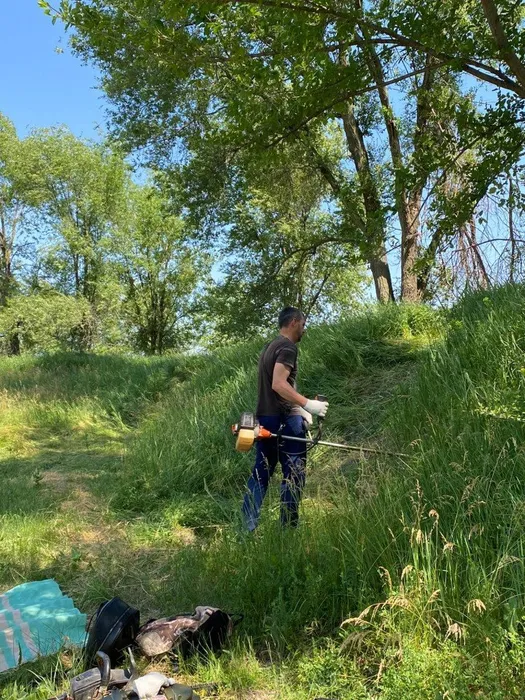 853e1759-53ac-4ded-ba31-0adc89fb0b1b